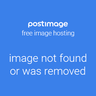 Quantum Men's Analog Black Dial Watch - PWG11.36